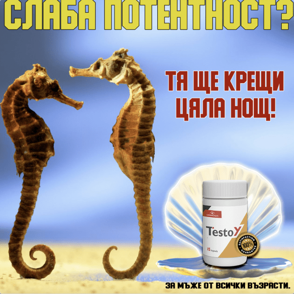 Кейс. 39 331$ на TestoY