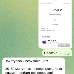 Жалоба на Token Tidal AmplifyAlerts @amplifyalerts_bot Отзывы