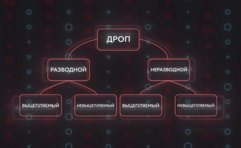 Дроповоды: кто скрывается за украденными личностями