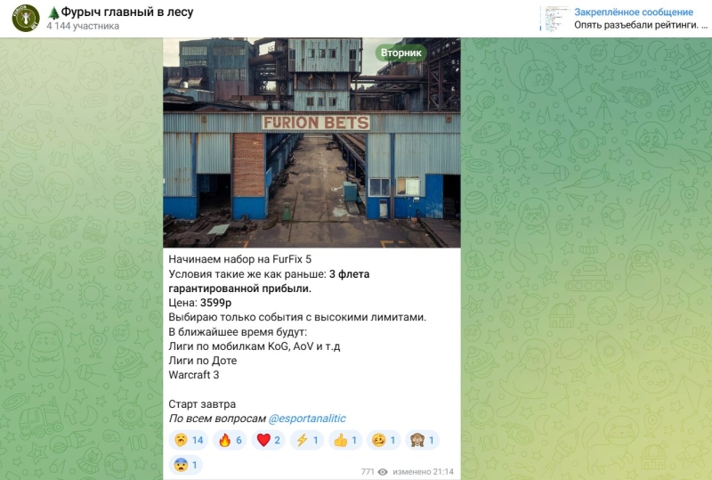 Фурыч главный в лесу — статистика прогнозов в телеграм-канале, цены, отзывы