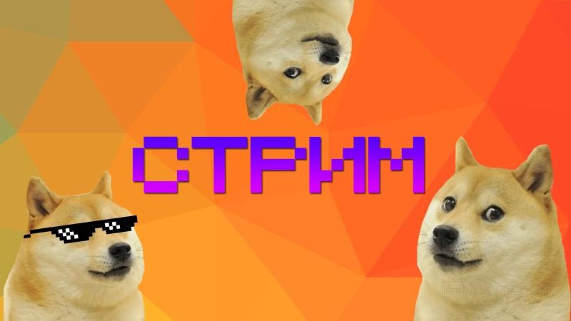 Как льют стримы на гемблинг 🎲 создание казино-стрима на Twitch, YouTube и TikTok без бана