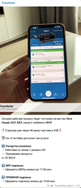 Transferbet — прогнозы и раскрутка счета в БК, отзывы